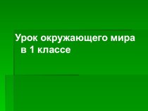 Береза-символ России презентация к уроку по окружающему миру (1 класс)