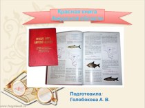 Презентация Красная книга Амурской области презентация к уроку ( группа)