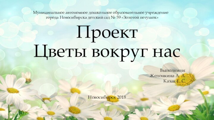 Проект  Цветы вокруг насВыполнили:Желонкина А. А.Казак Е. С.Новосибирск 2018Муниципальное автономное дошкольное