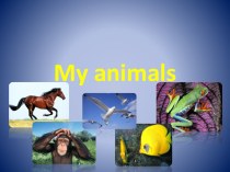 Презентация к уроку во 2 классе : My animals. презентация к уроку по иностранному языку (2 класс)