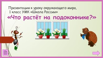 Что растет на подоконнике презентация к уроку по окружающему миру (1 класс)