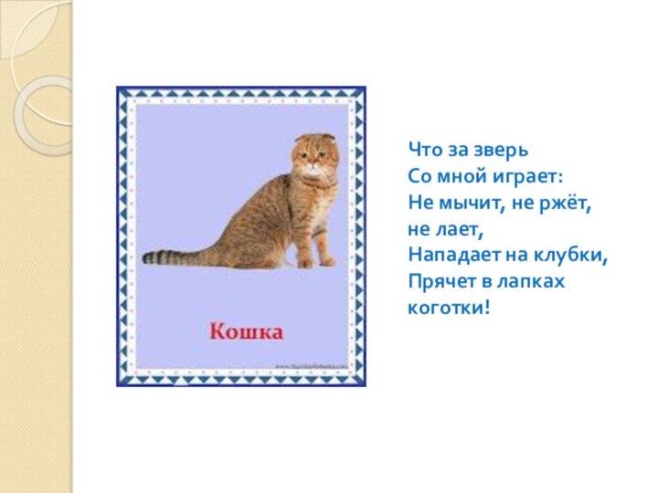 Что за зверьСо мной играет:Не мычит, не ржёт, не лает,Нападает на клубки,Прячет в лапках коготки! 