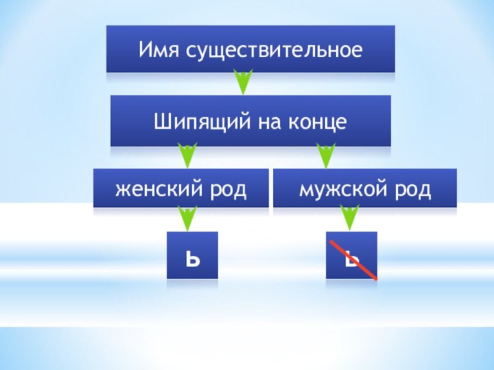 Имя существительноеШипящий на конце мужской родженский родьь