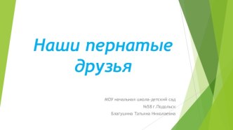 Конспект прогулки Путешествие по воздуху план-конспект занятия (средняя группа)