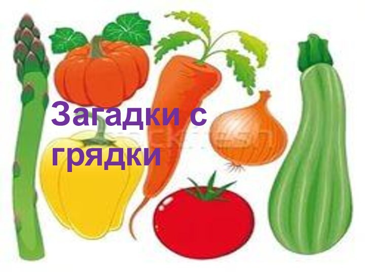 Загадки с грядки