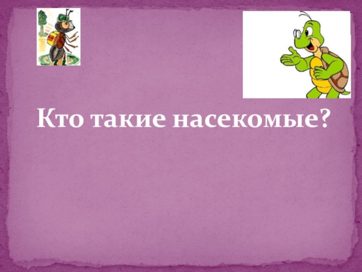 Кто такие насекомые?