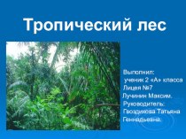 Проект Тропический лес творческая работа учащихся по окружающему миру (2 класс) по теме