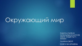 Окружающий мир 2 класс тема:Наша Родина - Россия презентация к уроку по окружающему миру (2 класс)