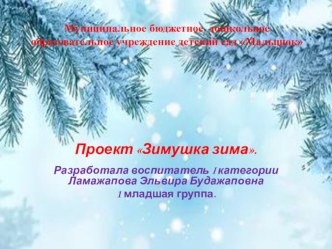 проект Зима-зимушка проект (младшая группа)