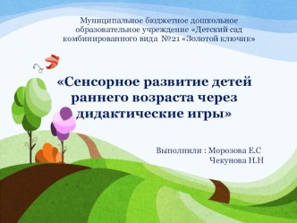 Представление опытаСенсорное развитие детей раннего возраста через дидактические игры презентация к уроку (младшая группа)