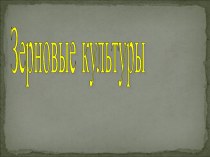 Презентация по окружающему миру Зерновые культуры. презентация урока для интерактивной доски по окружающему миру (3 класс)