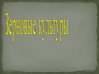 Презентация по окружающему миру Зерновые культуры. презентация урока для интерактивной доски по окружающему миру (3 класс)