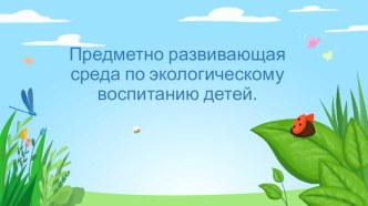 predmetno razvivayushchaya sreda po ekologicheskomu vospitaniyu detey