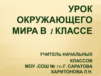 Конспект урока по окружающему миру Живое и неживое. 1 класс. УМК Школа 2100. план-конспект урока по окружающему миру (1 класс)