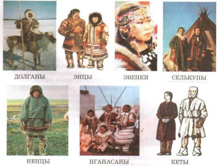 Народы красноярского. Народы ненцы, энцы на карте. Нганасаны на карте. Долганы на карте. Нганасаны книга.