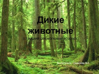 Презентация  Дикие животные