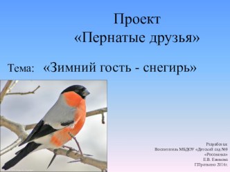 Презентация проекта Пернатые друзья проект по окружающему миру (средняя группа)