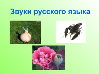 Звуки русского языка, 1 класс план-конспект урока (русский язык, 1 класс)