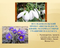 Цветы-радость жизни презентация к уроку по окружающему миру (2 класс)