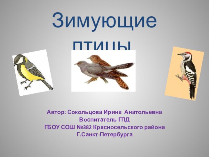 Зимующие птицы.Автор: Сокольцова Ирина АнатольевнаВоспитатель ГПДГБОУ СОШ №382 Красносельского районаГ.Санкт-Петербурга