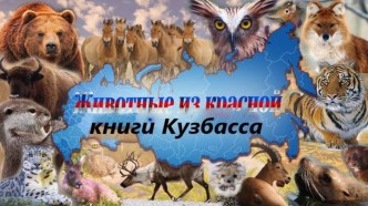 Презентация для средней группы Животные из Красной Книги Кузбасса презентация к уроку по окружающему миру (средняя группа)