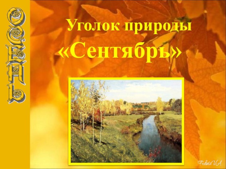 Уголок природы  «Сентябрь»