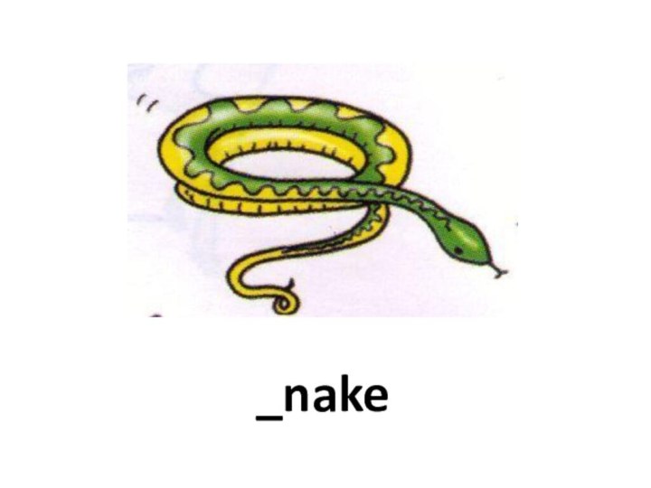 _nake