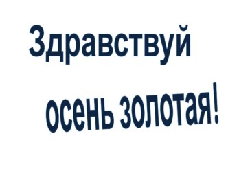 презентация Что такое ярмарка? презентация к уроку по логопедии (подготовительная группа)