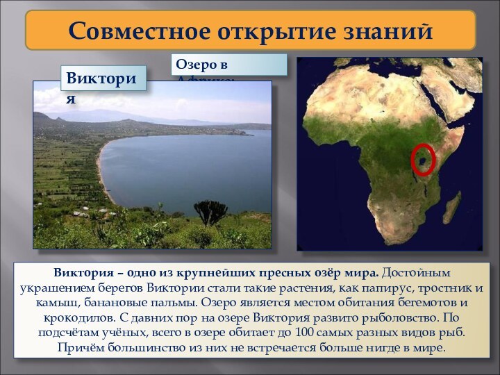 Озеро в Африке:Совместное открытие знанийВикторияВиктория – одно из крупнейших пресных озёр мира.