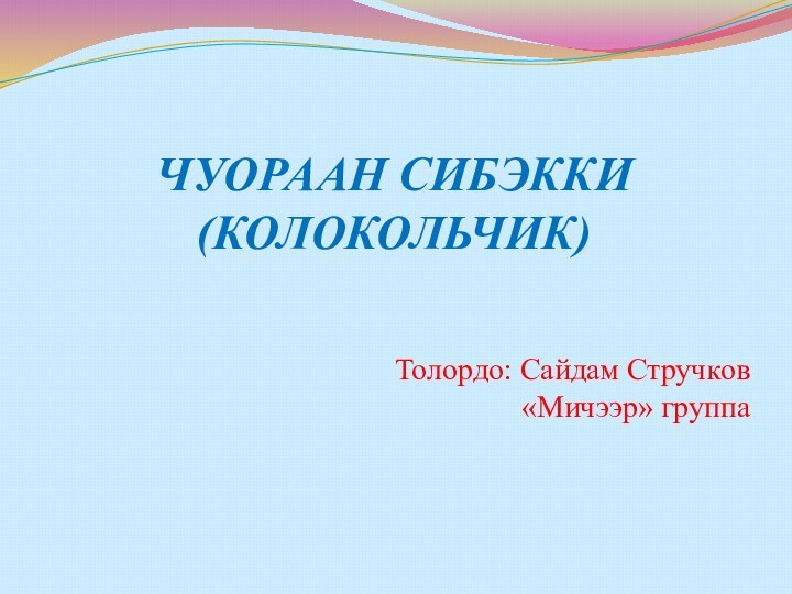 ЧУОРААН СИБЭККИ (КОЛОКОЛЬЧИК)Толордо: Сайдам Стручков«Мичээр» группа