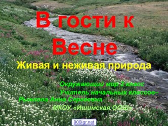 В гости к весне