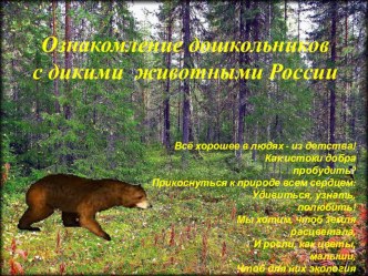 Презентация Дикая природа Россия презентация к уроку (старшая группа)