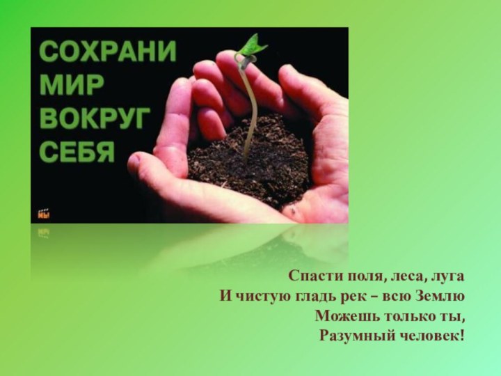 Спасти поля, леса, лугаИ чистую гладь рек – всю Землю Можешь только ты, Разумный человек!