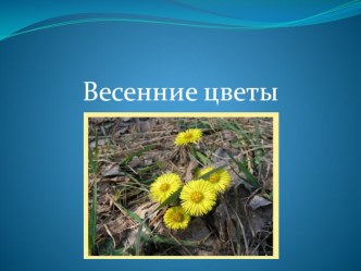 Презентация Первые весенние цветы презентация к уроку по окружающему миру по теме