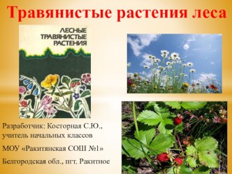 Конспект урока, его анализ и презентация по окружающему миру, 2 класс план-конспект урока по окружающему миру (2 класс)