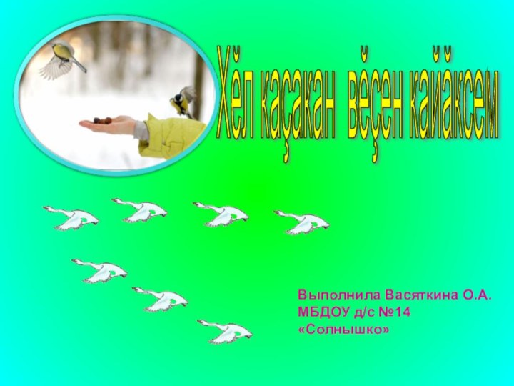 Хĕл каçакан вĕçен кайăксем Выполнила Васяткина О.А. МБДОУ д/с №14 «Солнышко»