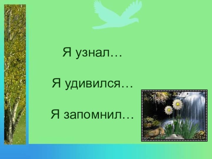 Я узнал…Я удивился…Я запомнил…