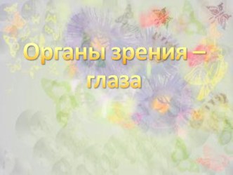 Органы зрения глаза