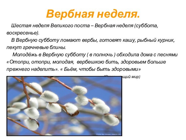 Вербная неделя.   Шестая неделя Великого поста – Вербная неделя (суббота,