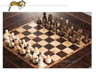 загадки по шахматам