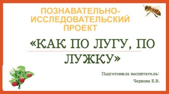 Презентация проекта Как по лугу, по лужку презентация к уроку по окружающему миру (младшая группа) по теме