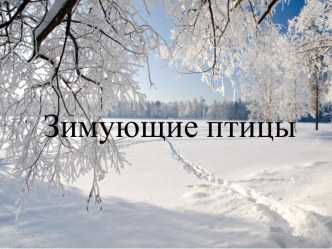 Презентация для детей :Зимующие птицы презентация