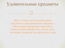 Удивительные предметы (сравнение объектов природы и предметов рукотворного мира) презентация к занятию по окружающему миру (подготовительная группа) по теме