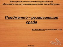 Предметно – развивающая среда