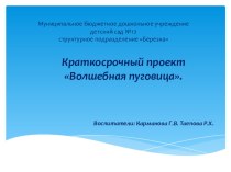 Презентация проекта Волшебная пуговица. презентация к уроку (старшая группа) по теме