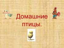 игра Домашние птицы презентация к уроку по развитию речи (старшая группа)