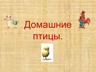 игра Домашние птицы презентация к уроку по развитию речи (старшая группа)