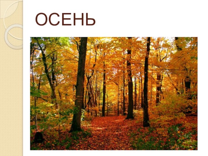 ОСЕНЬ