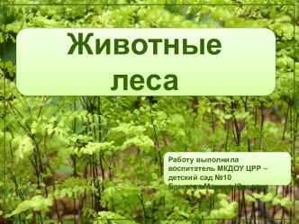 Презентация Дикие животные презентация к уроку по окружающему миру (средняя, старшая группа)