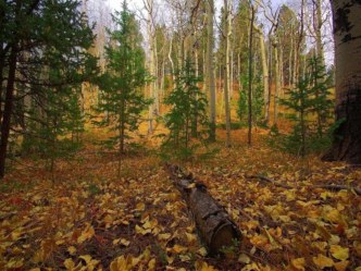 Учебно-методический комплекс к уроку письма, 1 класс. Тема: Строчная буква ю план-конспект урока по русскому языку (1 класс) по теме